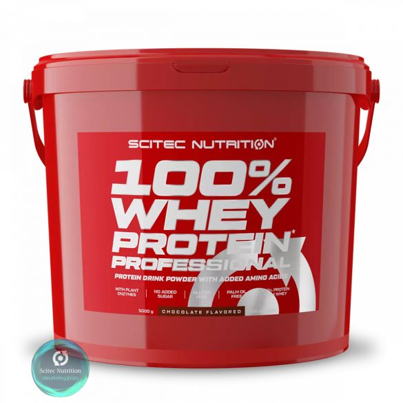 100% Whey Protein Professional (5 KG)