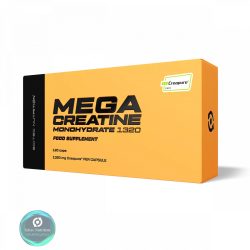 MEGA CREATINE MONOHYDRATE 1320 (120 KAP.)
